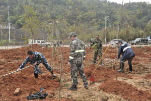 陽(yáng)春三月雨，正是植樹(shù)好時(shí)節(jié)