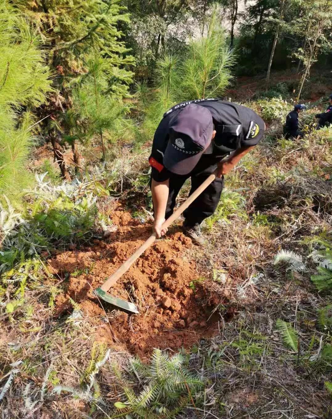 干好每一天|青山掛白我復(fù)綠，無(wú)私奉獻(xiàn)金森人——資源保護(hù)部義務(wù)突擊隊(duì)工作記實(shí)