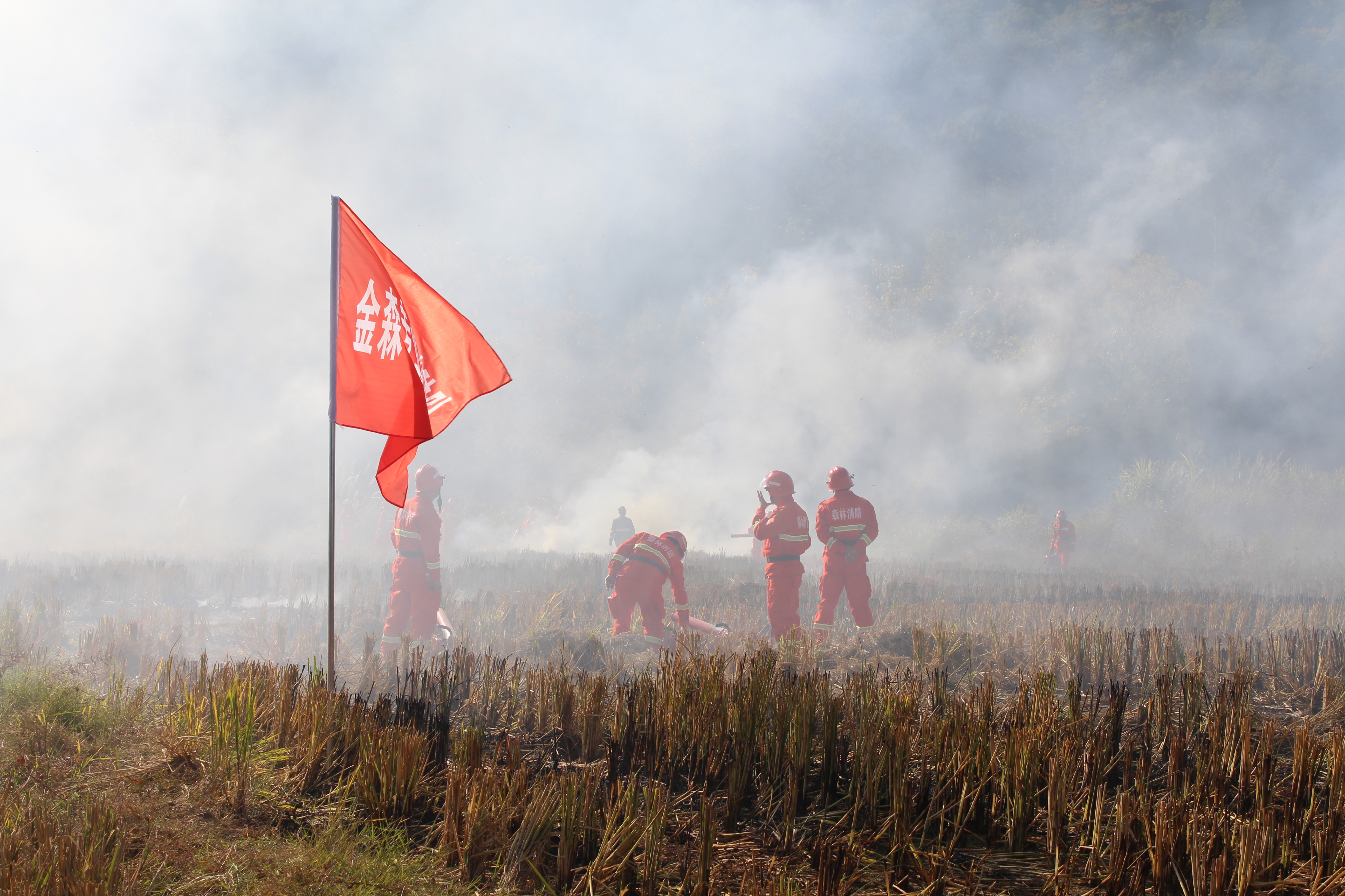 干好每一天|福建金森開展森林防火業(yè)務(wù)培訓(xùn)及防火演練 干好每一天|福建金森開展森林防火業(yè)務(wù)培訓(xùn)及防火演練