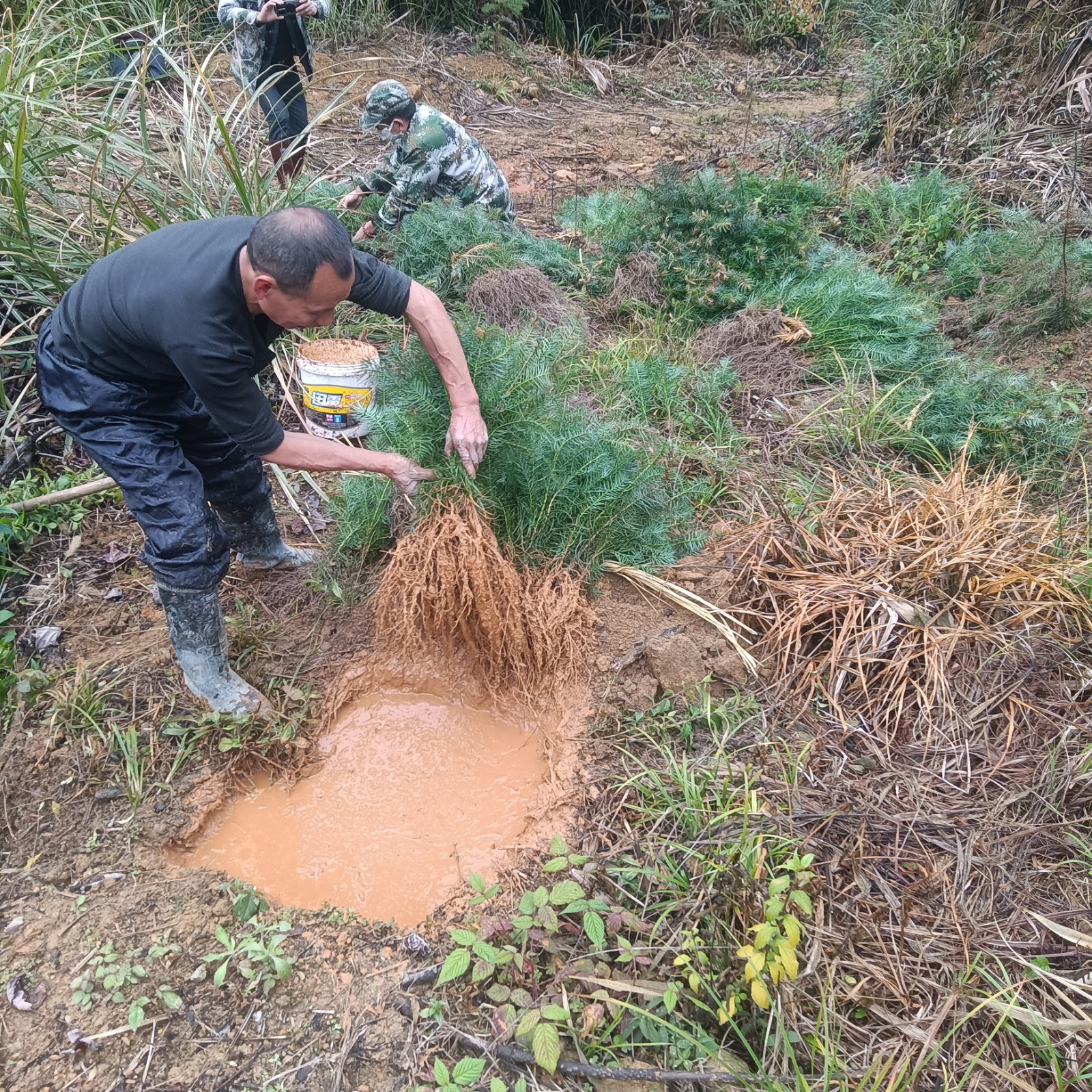 1675148706684421.jpg 1675148706684421.jpg