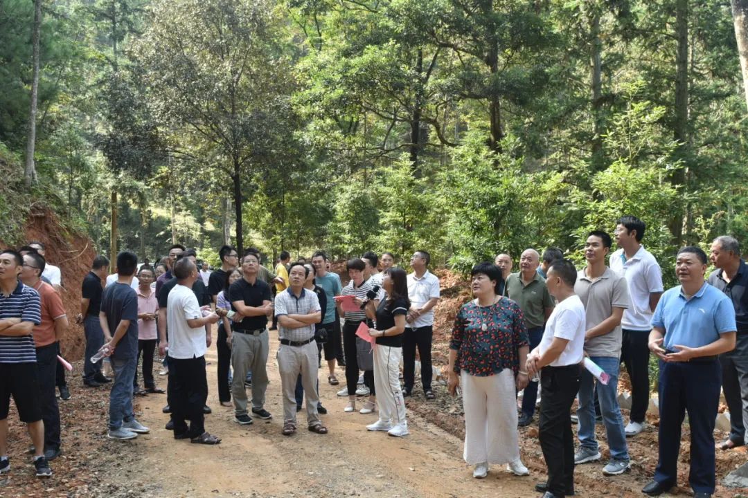 琵琶丘工區:三明市森林質量精準提升工程業務培訓現場示范 琵琶丘工區:三明市森林質量精準提升工程業務培訓現場示范
