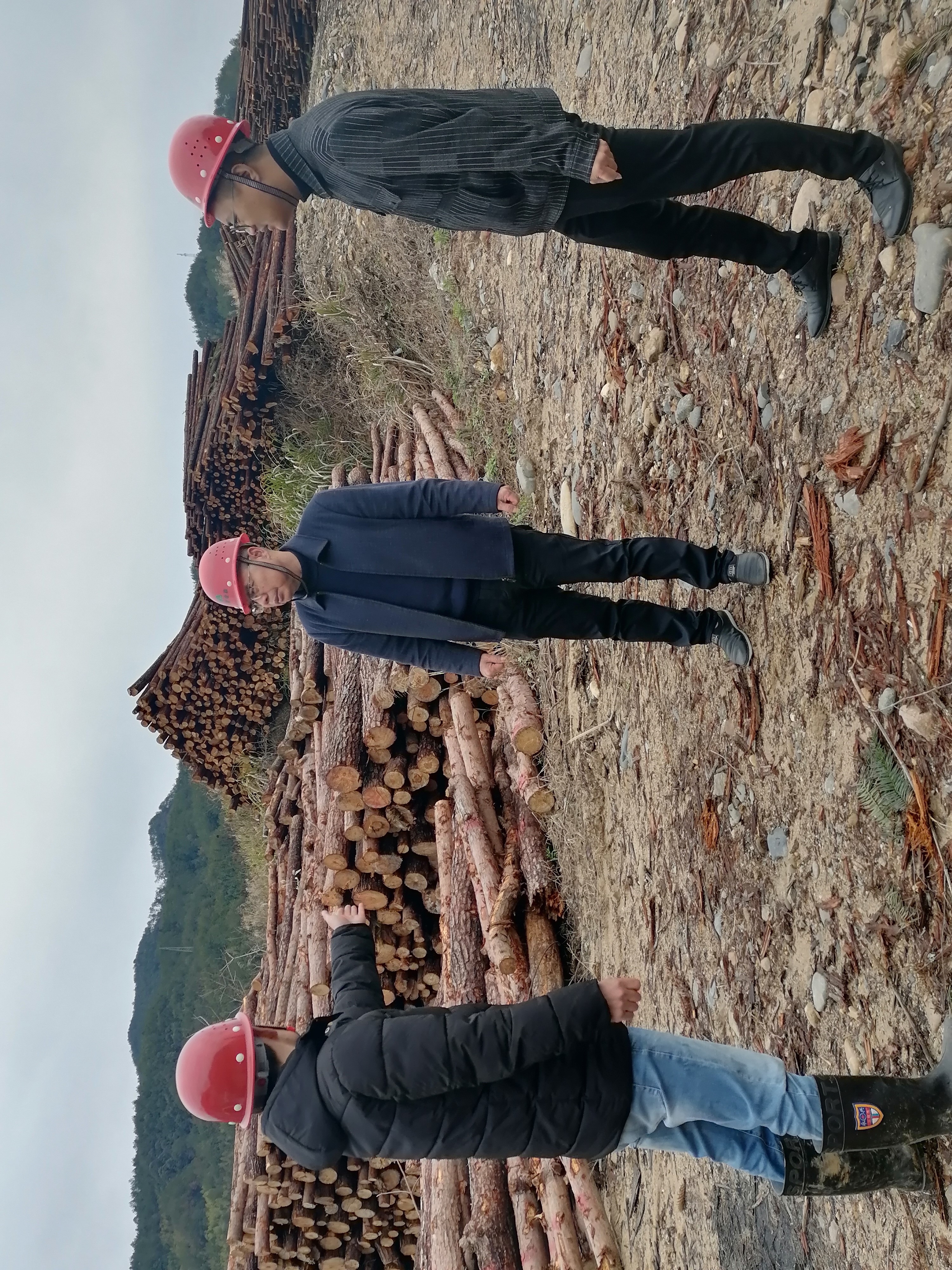 福建金森開展歲末年初安全生產(chǎn)檢查 福建金森開展歲末年初安全生產(chǎn)檢查